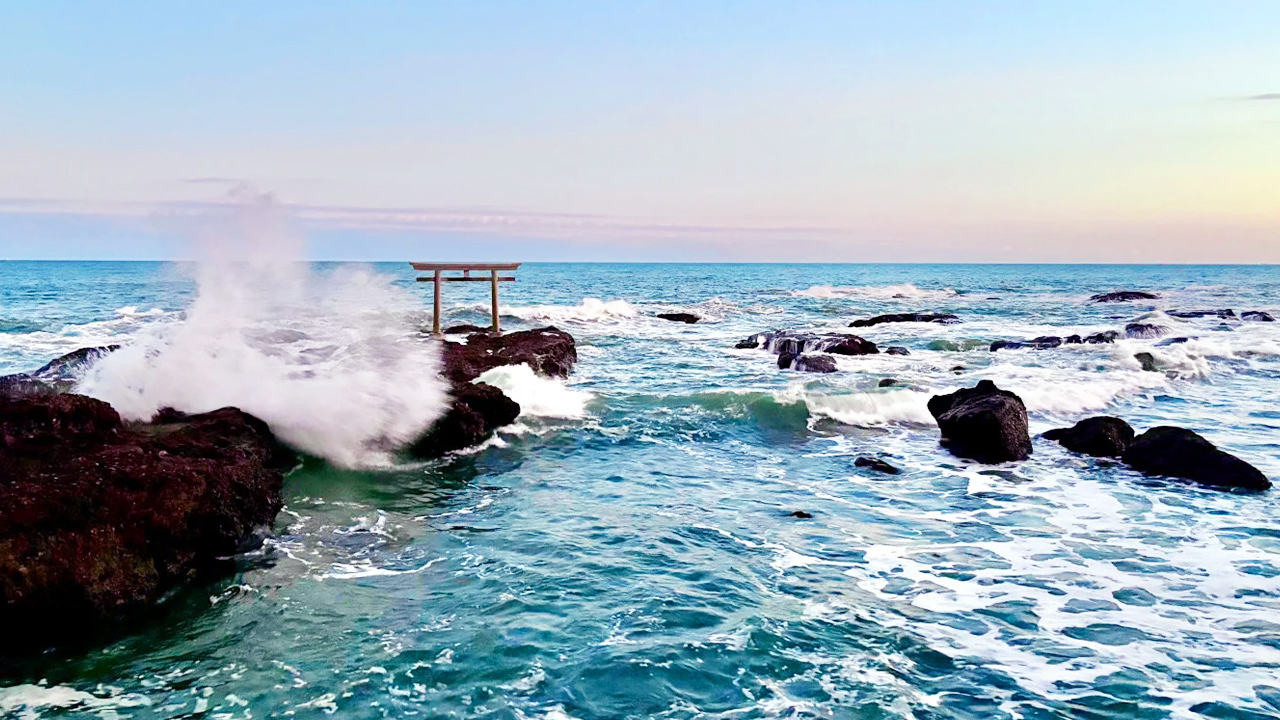1-day tour to Oarai Isosaki Shrine, Nakaminato Fish Market and