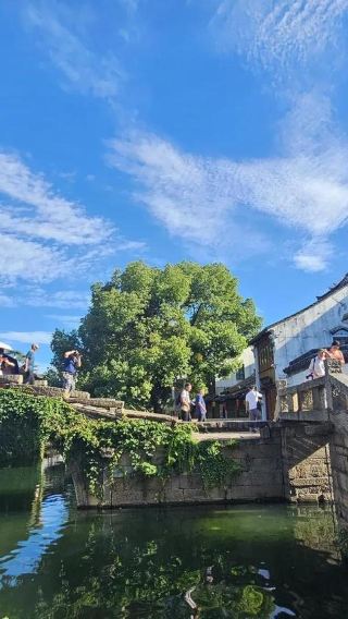 從上海出發的周莊＆拙政園日遊（私人專車 + 票券）