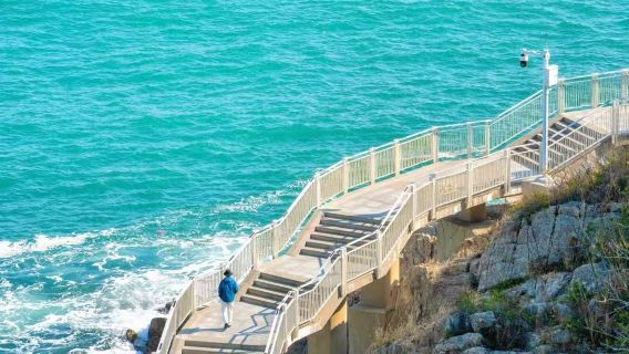 Excursión de un día en servicio de coche privado con conductor por Guangzhou (China) + Dameisha y Xiaomeisha en Shenzhen + Calle Zhongying con recogida en el hotel - Itinerario flexible