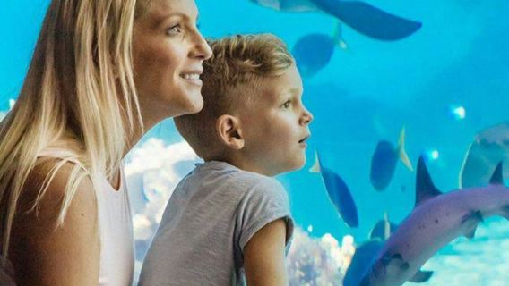 Warner Bros. Movie World, Sea World & Wet'n'Wild: Tek Park 1 Günlük Bilet