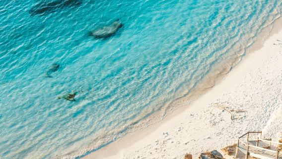 Entdecken Sie die beliebte Insel Westaustraliens | Hin- und Rückfahrt mit der Fähre nach Rottnest Island [Zubuchbar: Reisebus auf der Insel/Fahrrad/Speedboot/Elektroroller] · Begegnen Sie lächelnden Quokkas