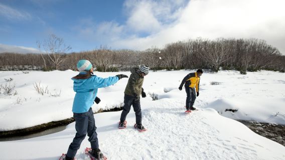 Dagstur från Melbourne med snölek vid sjö och berg + vattenfallsbesök inkluderar biljett och transport