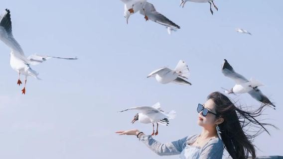 Excursión de un día puro en coche privado a Kunming, condado autónomo yi de Shilin + Puerta del Dragón de la Montaña Oeste + Lago Dianchi | Servicio de recogida a domicilio con un coche por reserva