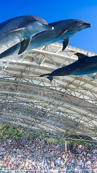 【含門票/午餐】沖繩北部精華一日遊｜美麗海水族館・中文導遊