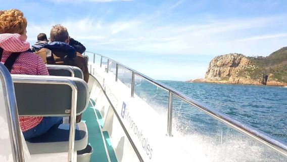 Knysna: Marine Life & Garden Route Coastline Tour