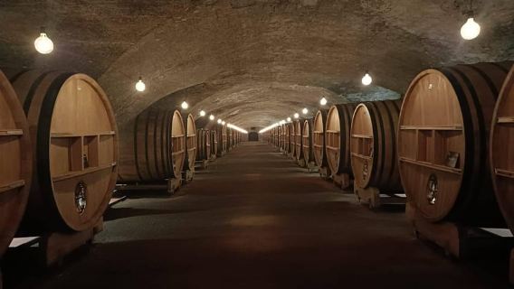 From Lyon : Beaujolais - Pérouges Full Day Shared Trip