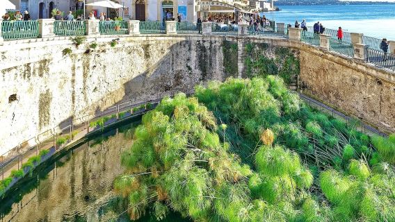 Syracuse Island of Ortigia self-guided audio walking tour (10 stops, approx. 2 hrs)