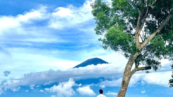 Bali Lovina Yunus Gözlemi + Kintamani Volkan Manzarası + Popüler Ağaç | Agung Volkanı Arka Plan