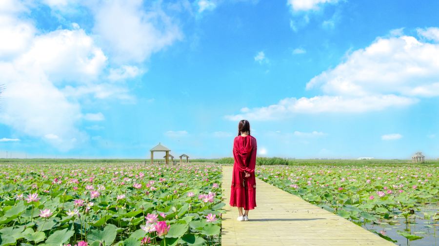 寧夏銀川鎮北堡西部影城+西夏陵遺址區+賀蘭山岩畫一日遊