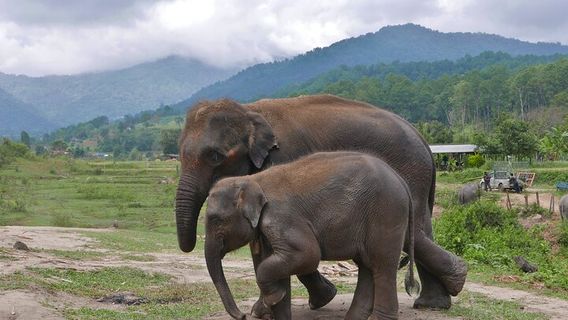 Chom ThongTours