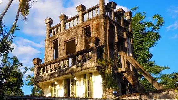 Tour di un giorno nella foresta pluviale di Cairns con guida in cinese/inglese e trasferimenti aeroportuali inclusi