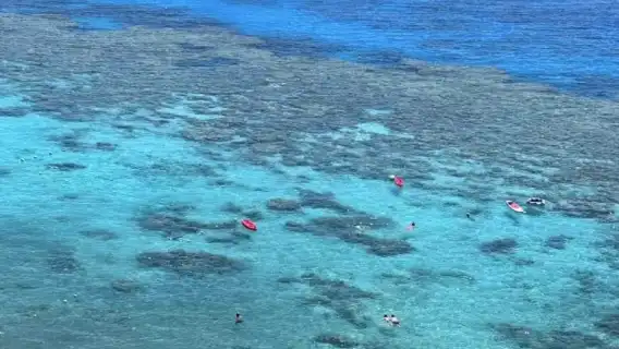 ทัวร์ทะเลแดง ภาษาจีนกลาง ไกด์ ชาวจีน/อังกฤษ /อาหาร/อุปกรณ์ดำน้ำตื้น/รถรับส่ง/ตามล่าปลาโลมา/เกาะออเรนจ์