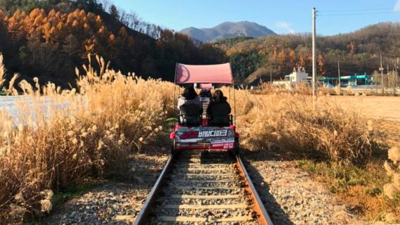 Gyeonggi Province|Gangchon Rail Park X Petite France & Italian Village X Nami Island