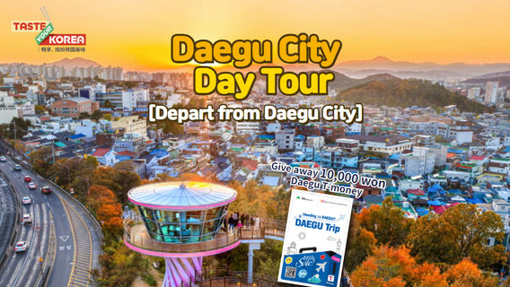 DaeguTransport