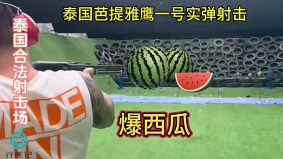 芭達雅特色體驗