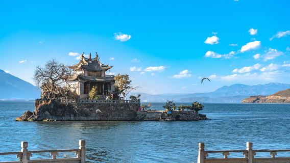 대리 환해 당일 치기 여행 [엄선된 명소 + 8인 이내 순수 관광 비즈니스 소규모 그룹 + 얼해 유람선 선택 가능]