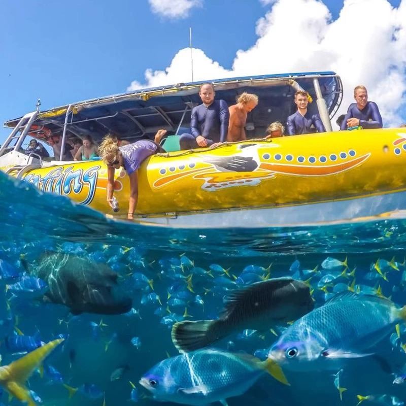 Ocean Rafting excursión de un día a Whitsundays y la playa Whitehaven, rutas norte y sur