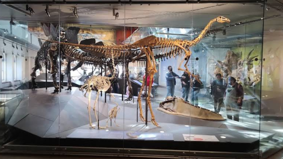 美國洛杉磯自然歷史博物館+加密貨幣網體育館+南加州大學一日遊