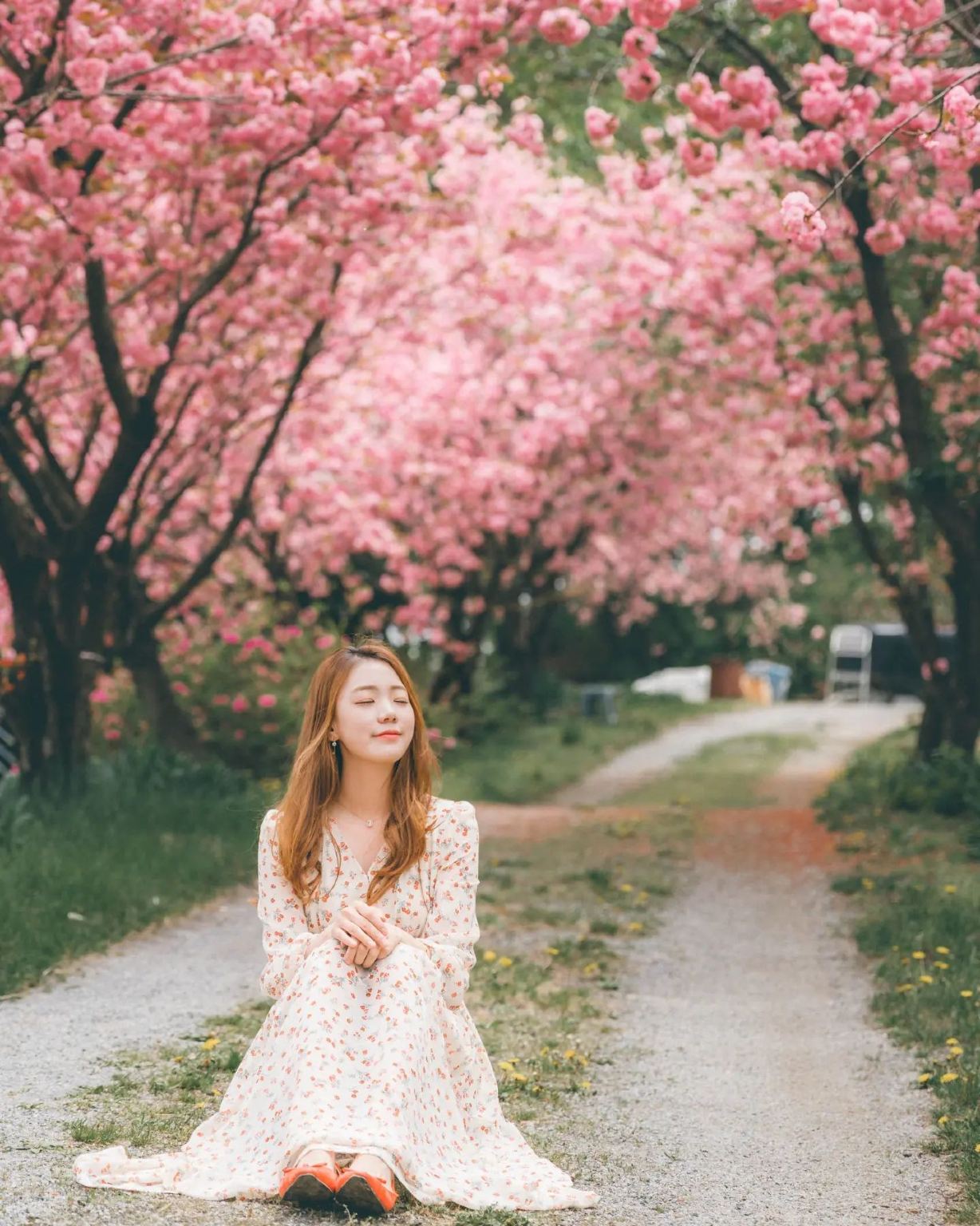 巴西馬瑙斯Trip Moments【司機兼導遊兼Trip Moments攝影師+婚紗照空拍微電影+化妝服裝+行程定制+不限人數】