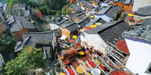 婺源篁嶺+江灣景區包車一日遊【上門接送 專車服務】