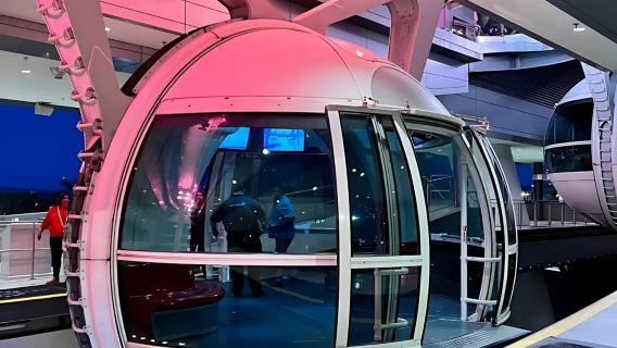 美國拉斯維加斯市區私享行-4-5個地標景點深度遊-安全無憂