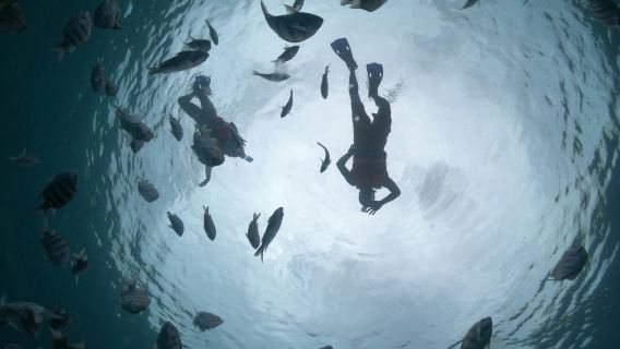 Cozumel: Glass Boat, Drinks and Snorkel Tour