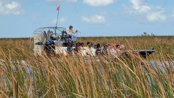 30-Min Airboat Ride and Everglades National Park Guided Tour from South Beach