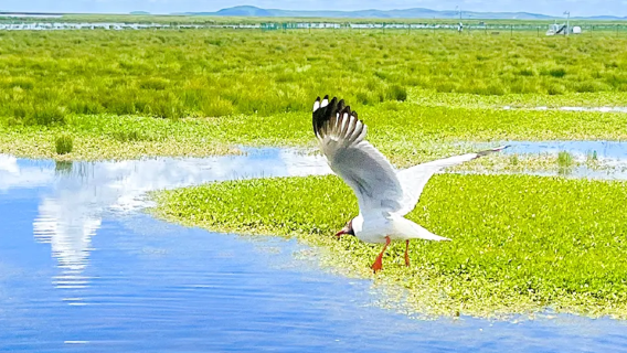 XiaheTours