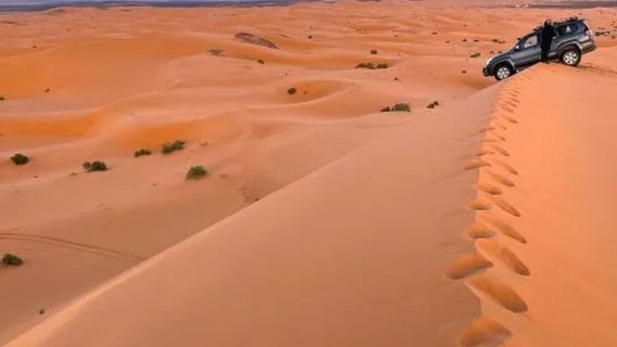 MerzougaTours