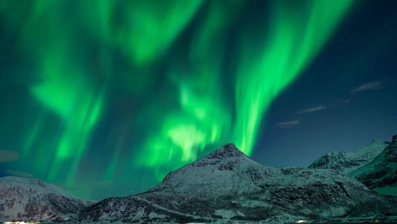 Tromsø: Aurora Tour with Campfire and Professional Photos