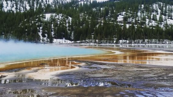 From Jackson: Yellowstone National Park Day Trip with Lunch