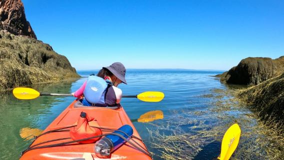 Cabo Chignecto: Excursión de un día en kayak por las Tres Hermanas