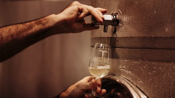 Brisbane: Vino e cena tra le vigne
