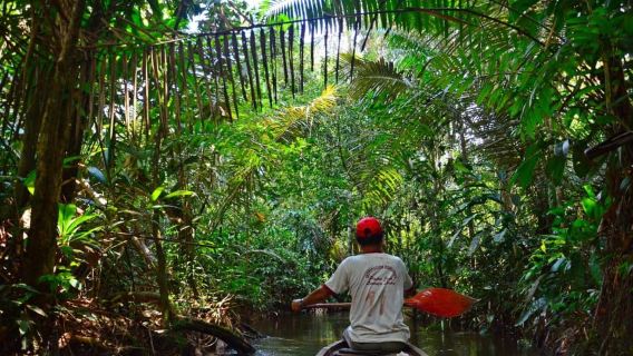 아마존 탐험: 이키토스에서 떠나는 모험의 날