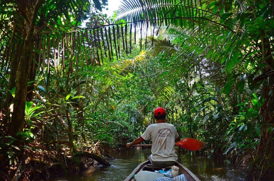 Exploring the Amazon: Adventure Day from Iquitos