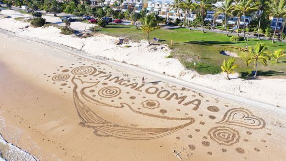 Tour di un giorno a Moreton Island da Brisbane, Australia con 6 attività (opzione bus transfer disponibile)