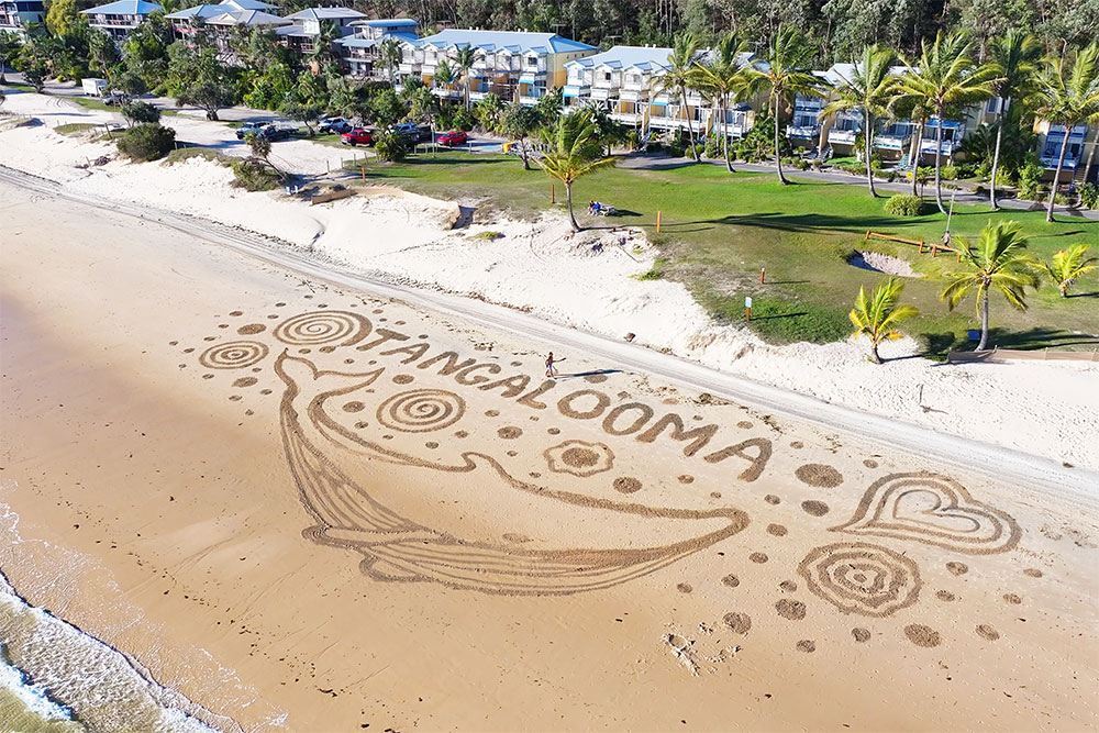 Excursión de un día a la isla Moreton en Brisbane, Australia, con 6 actividades para disfrutar