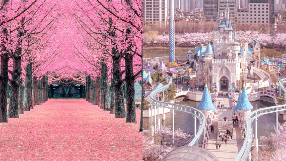 SeoulTours