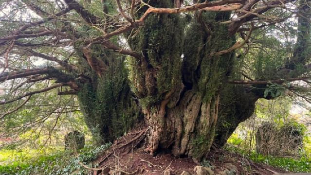 Cardiff: Waterfalls, Mountains & Castles Day Tour