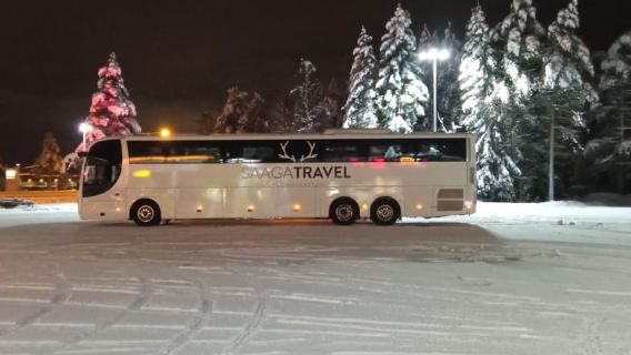 Rovaniemi: Xe buýt ngắm Bắc Cực Quang với đồ uống và đồ ăn nhẹ