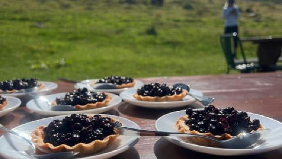 Dolomiti: Escursione con Guida Alpina Internazionale