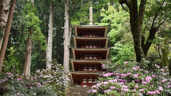 Osaka-Nara: 2-Day Discovery Pass