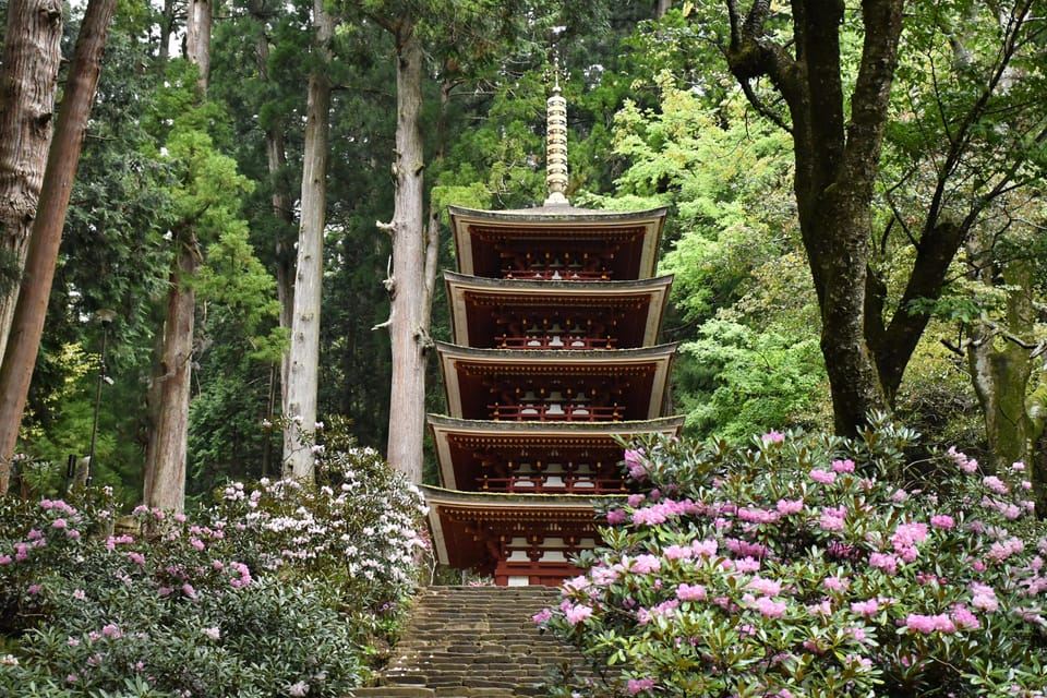 Osaka-Nara: 2-Day Discovery Pass