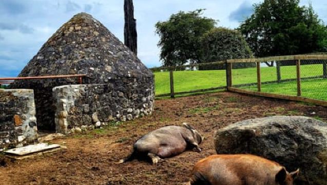 Moate: Dún na Sí Amenity & Heritage Park Admission Ticket