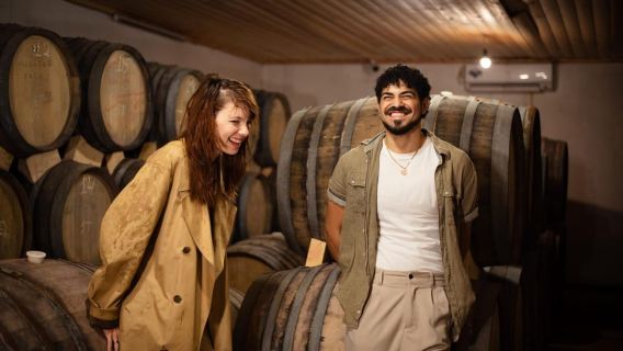 Erevan : Dégustation de vins et déjeuner au domaine viticole Voskeni
