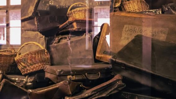 Ab Krakau: Führung durch Auschwitz-Birkenau & Hotelabholung