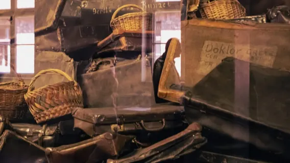 From Krakow: Auschwitz-Birkenau Guided Tour & Hotel Pickup