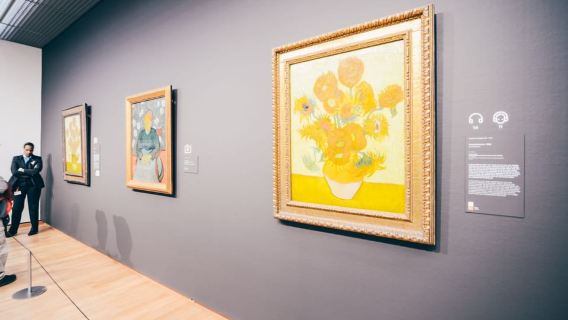 Amsterdam: Van Gogh Museum Ticket & Guided Tour