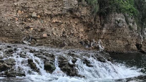 Puerto Vallarta: Lawatan Snorkeling ke Los Arcos de Mismaloya