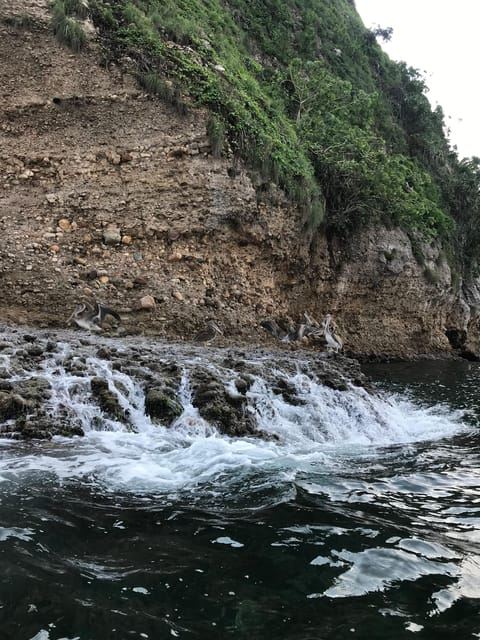 プエルト バジャルタ：ロス アルコス デ ミスマロヤへのシュノーケリング ツアー